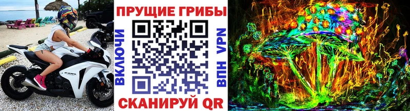 магазин    Городище  Псилоцибиновые грибы Magic Shrooms 
